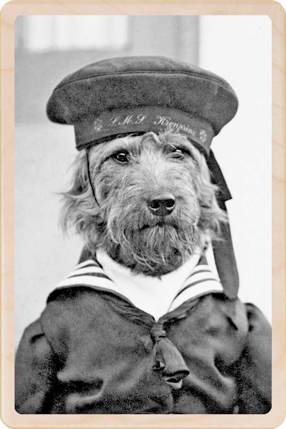 HMS DOG