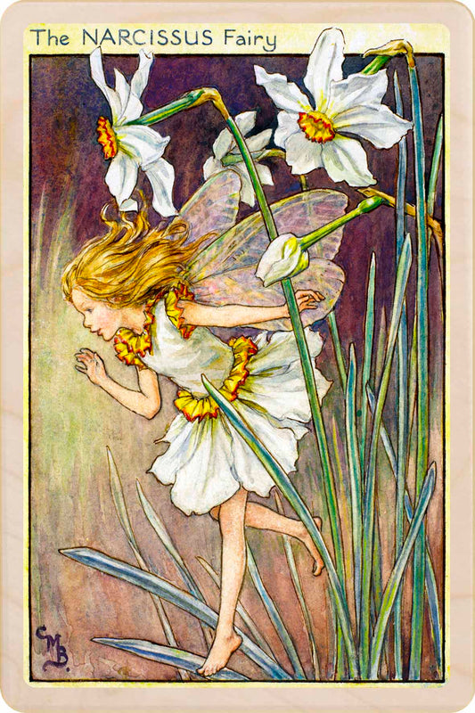 Narcissus Fairy by Cicely Mary Barker. Printed with vibrant colour and fine detail. Made to send, keep, or collect. Handmade in the UK since 2012.