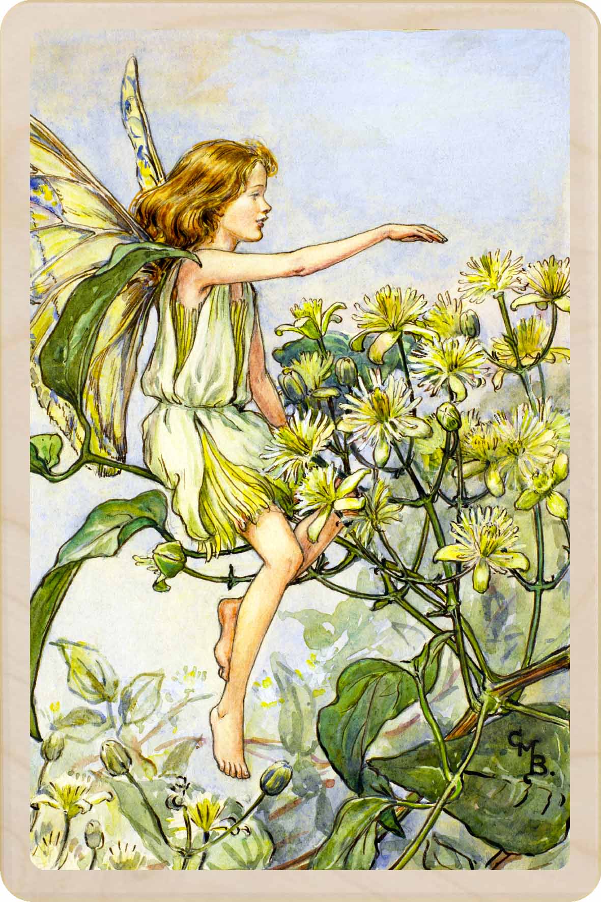 Cicely Mary Barker Traveller's Joy Fairy Wooden Postcard – Made in the UK