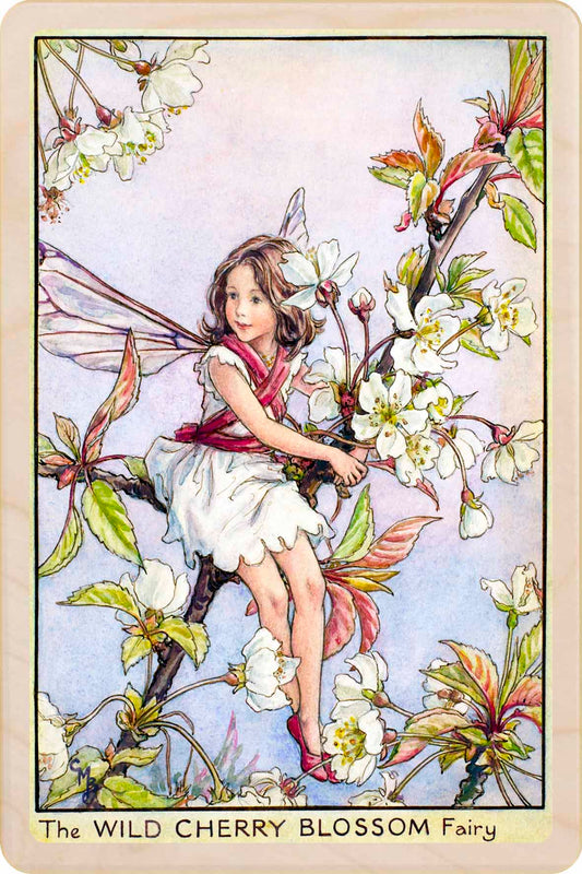 WILD CHERRY BLOSSOM FAIRY