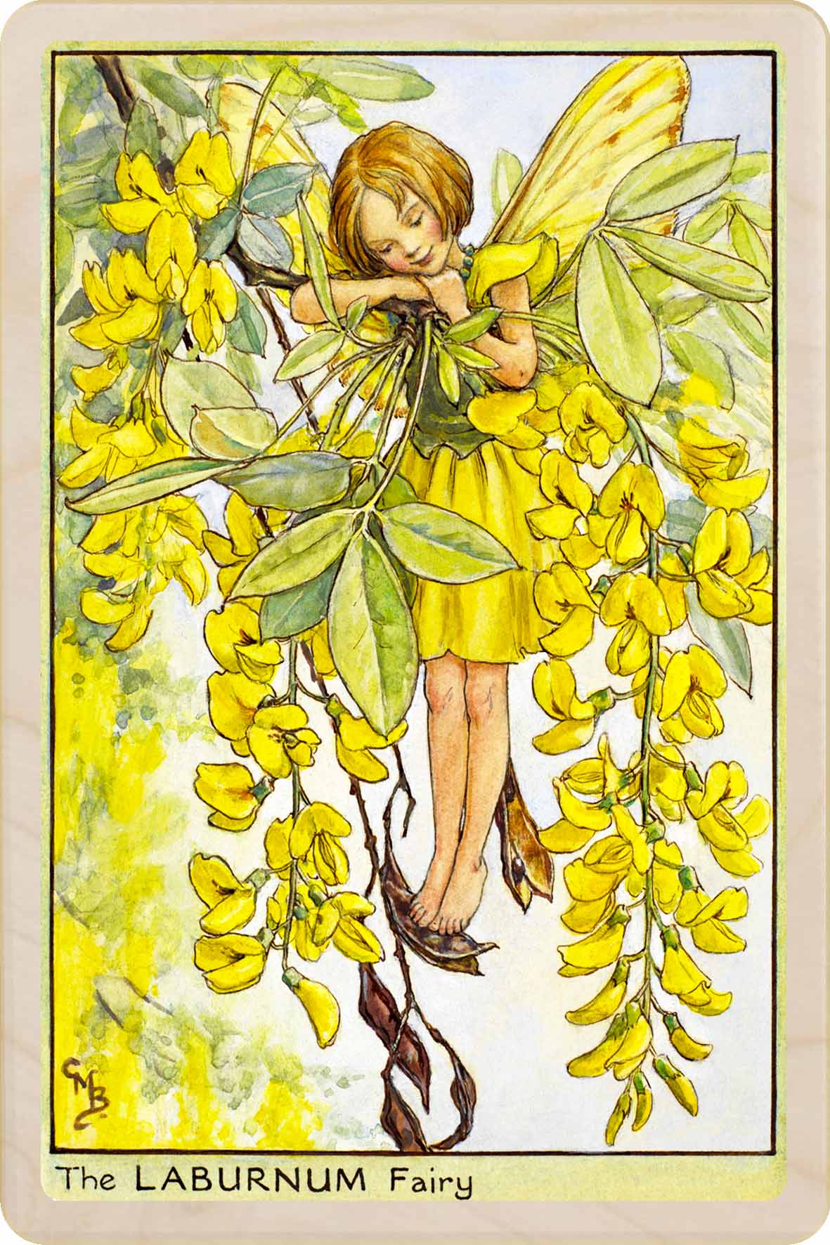 LABURNUM FAIRY