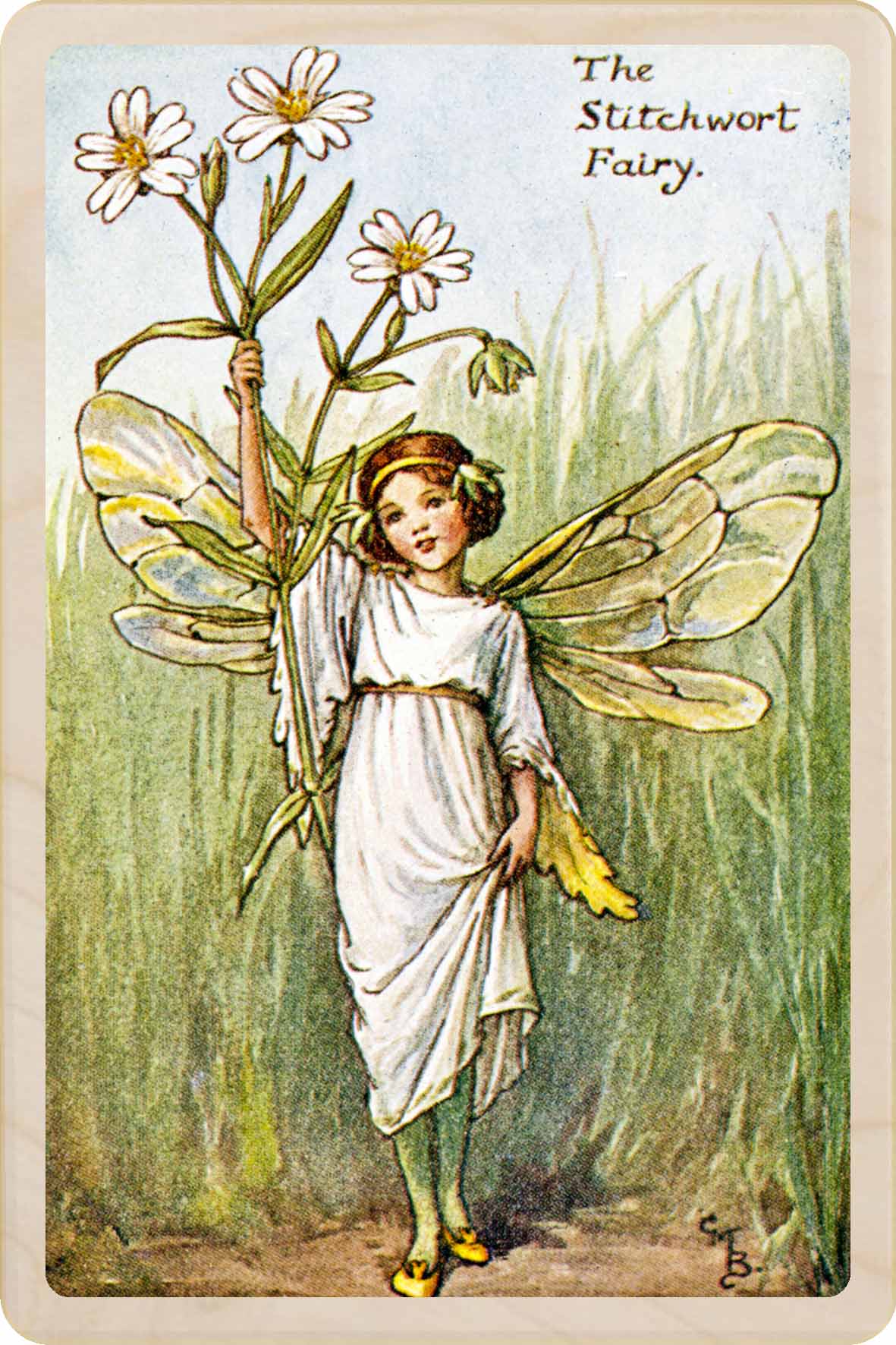 Stitchwort Fairy by Cicely Mary Barker. Printed with vibrant colour and fine detail. Made to send, keep, or collect. Handmade in the UK since 2012.