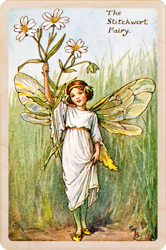 Stitchwort Fairy by Cicely Mary Barker. Printed with vibrant colour and fine detail. Made to send, keep, or collect. Handmade in the UK since 2012.