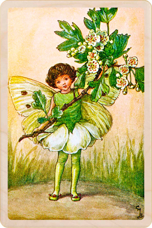 May Fairy by Cicely Mary Barker. Printed with vibrant colour and fine detail. Made to send, keep, or collect. Handmade in the UK since 2012.