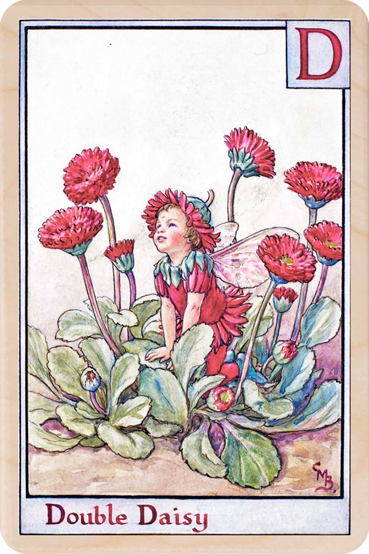 D DOUBLE DAISY FAIRY