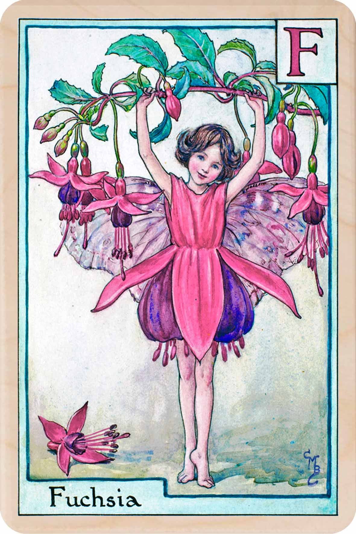 F FUCHSIA FAIRY