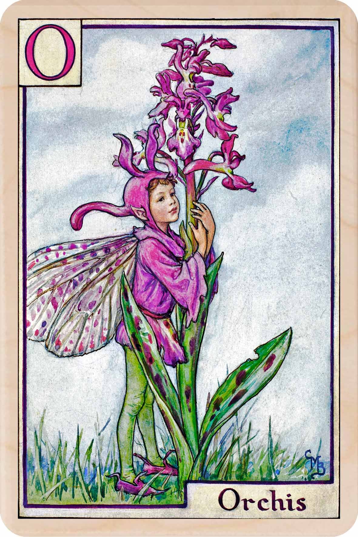 Orchis Fairy from the Alphabet Flower Fairies™ by Cicely Mary Barker. Printed in Suffolk with fine detail and vibrant colour. Handmade in the UK since 2012.