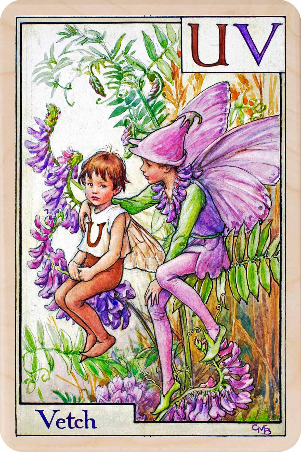 Vetch Fairy from the Alphabet Flower Fairies™ by Cicely Mary Barker. Printed in Suffolk with fine detail and vibrant colour. Handmade in the UK since 2012.