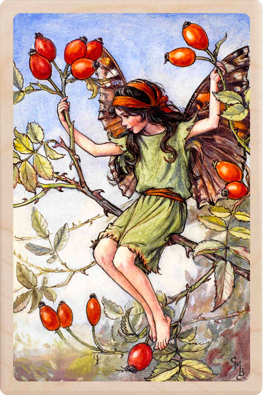 Fairy sitting among rosehips on a branch with a blue sky background. The Rosehip Fairy - Sustainable Card - Wooden Postcard 
Original Flower Fairies™ illustration by Cicely Mary Barker, printed in Suffolk on sustainable wood. Made to send, keep, or display—an eco-friendly keepsake for fairy fans, garden lovers, and collectors.