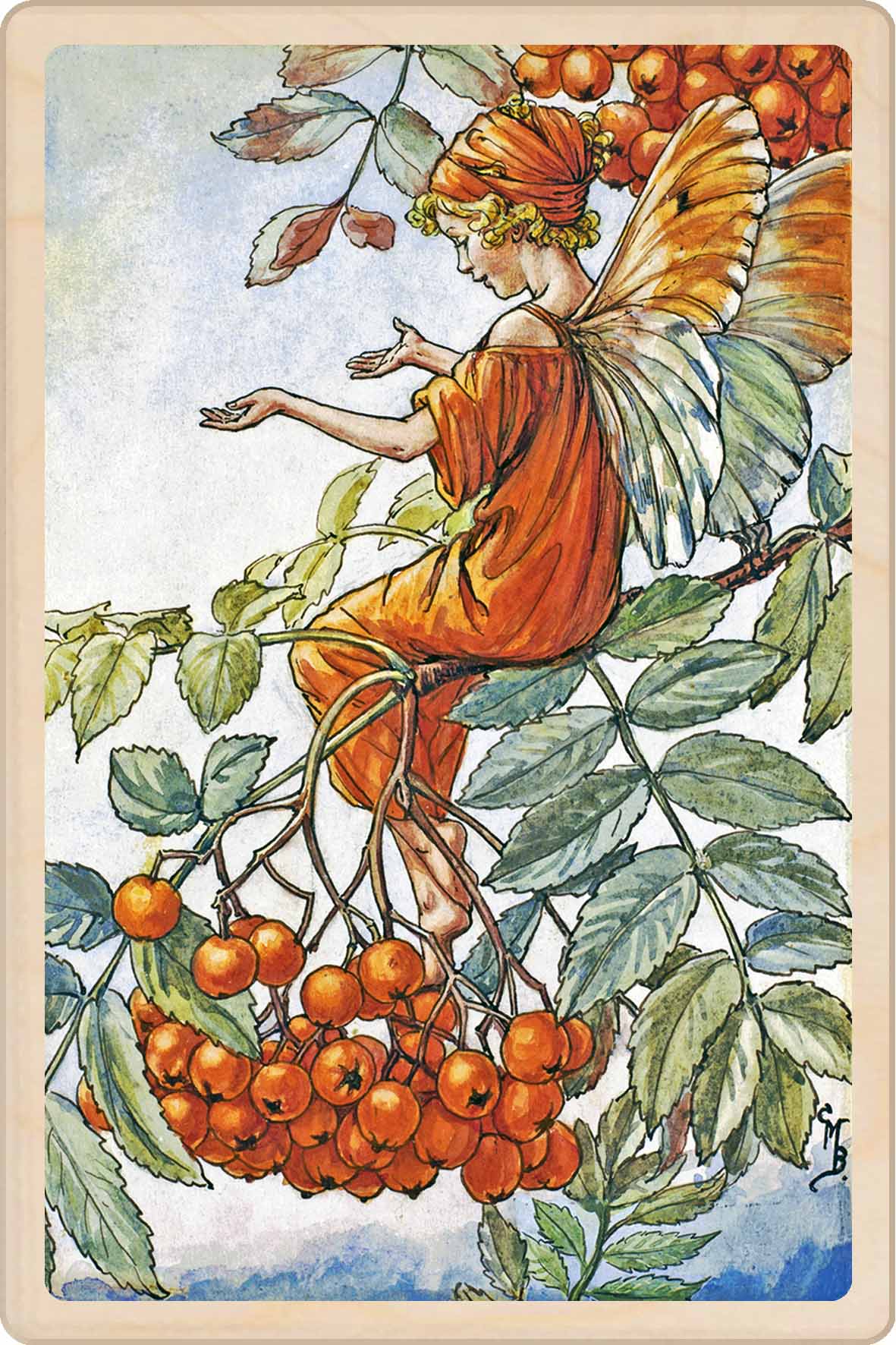 A wooden postcard featuring an illustration of a fairy sitting on a branch with orange leaves and rowan berries. The Rowan Tree Fairy - Sustainable Card - Wooden Postcard
Original Flower Fairies™ illustration by Cicely Mary Barker, printed in Suffolk on sustainable wood. Made to send, keep, or display—an eco-friendly keepsake for fairy fans, garden lovers, and collectors.