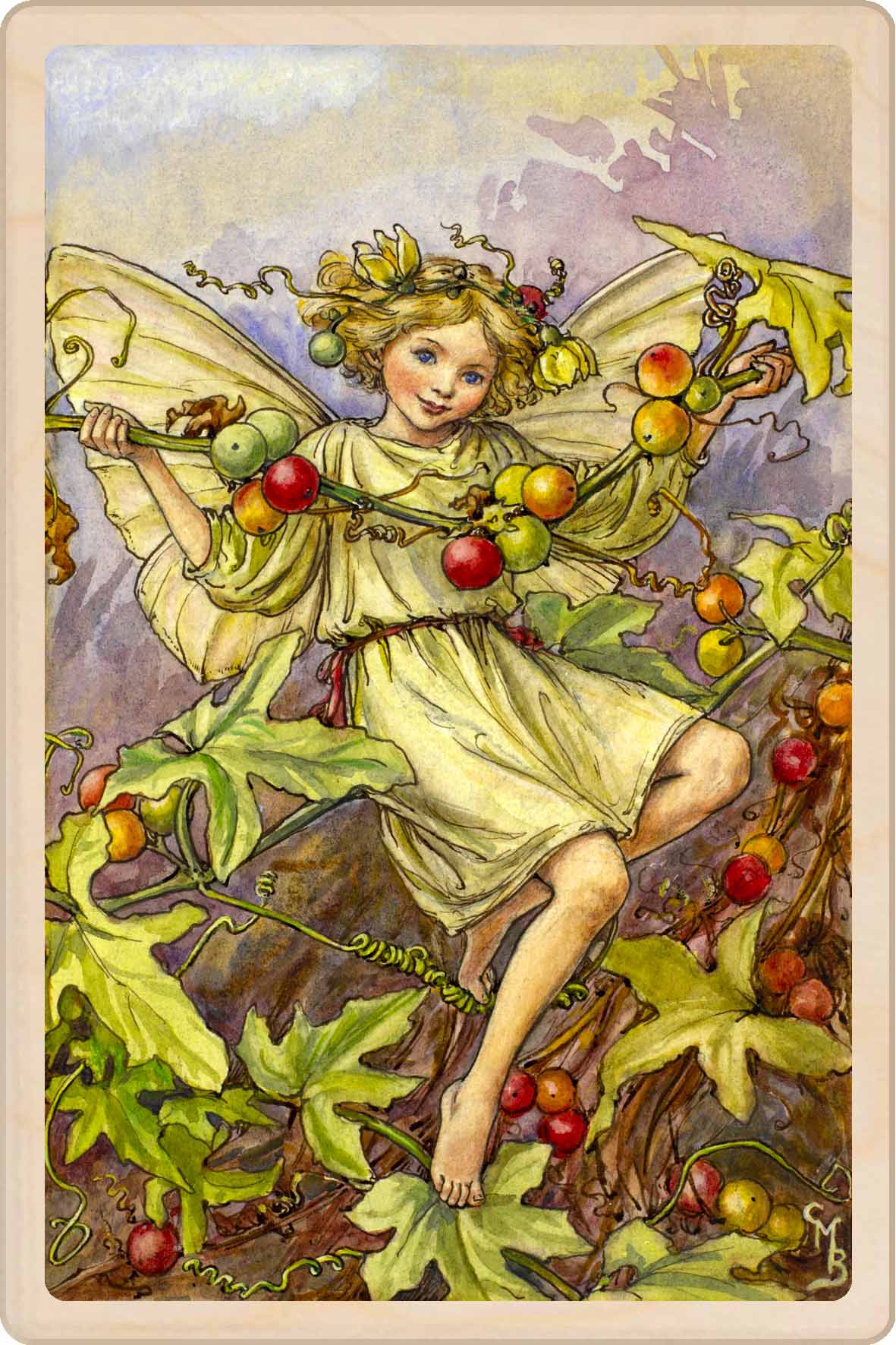 Colorful illustration of a fairy with wings and fruit, sitting on a branch. The Ivy Fairy - Sustainable Card - Wooden Postcard 
Original Flower Fairies™ illustration by Cicely Mary Barker, printed in Suffolk on sustainable wood. Made to send, keep, or display—an eco-friendly keepsake for fairy fans, garden lovers, and collectors.
