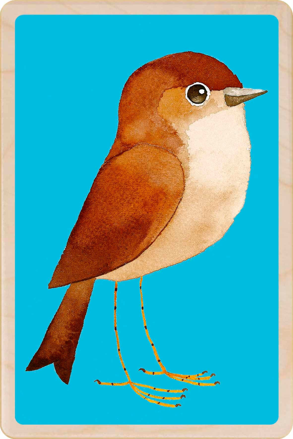 Nightingale - bird Illustration wooden postcard by Matt Sewell