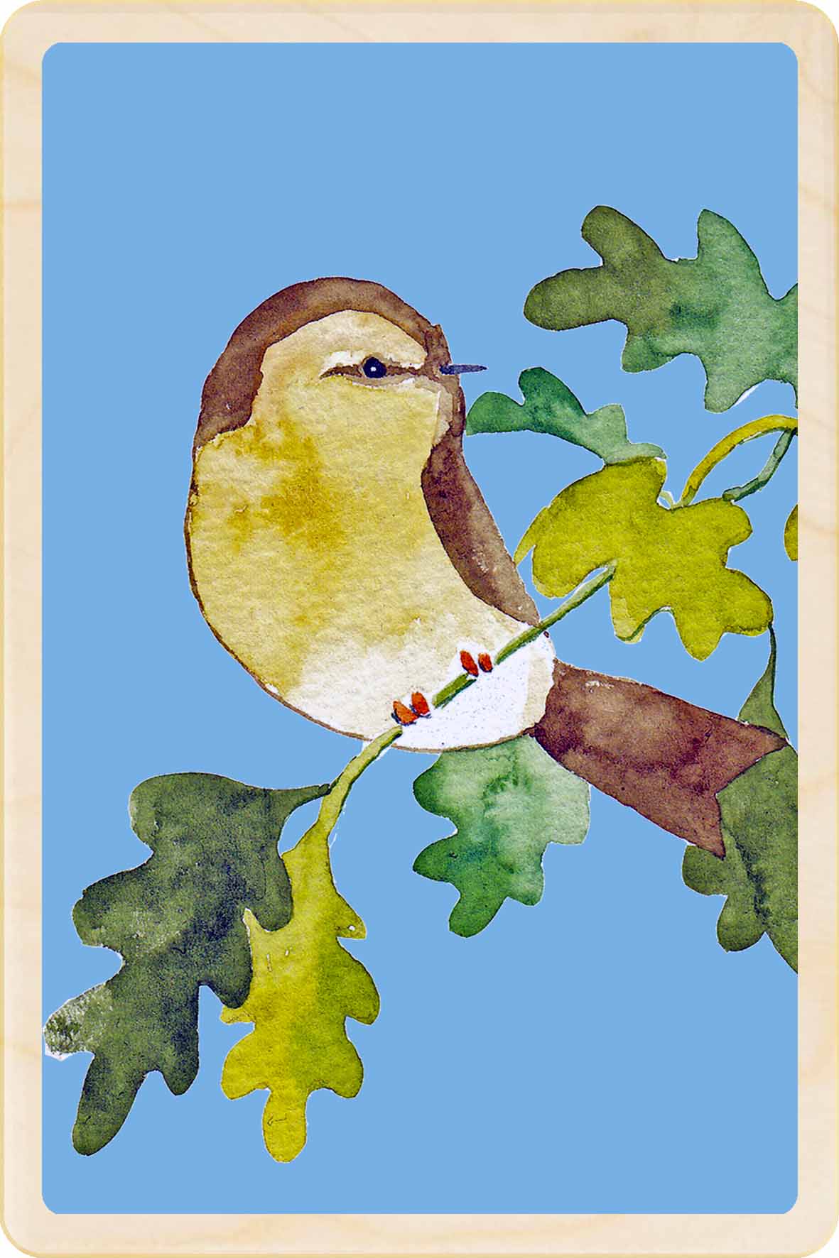 Chiffchaff - bird Illustration wooden postcard by Matt Sewell