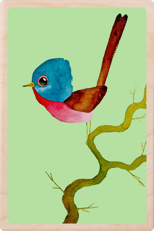 bird Illustration wooden postcard by Matt Sewell