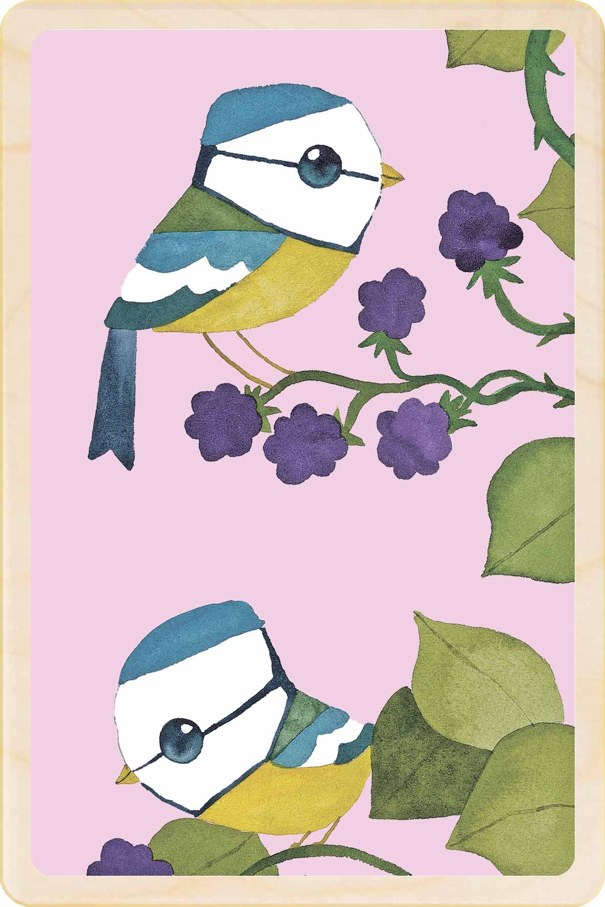 Blue tit - bird Illustration wooden postcard by Matt Sewell