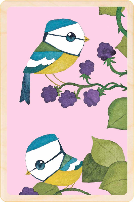 Blue tit - bird Illustration wooden postcard by Matt Sewell