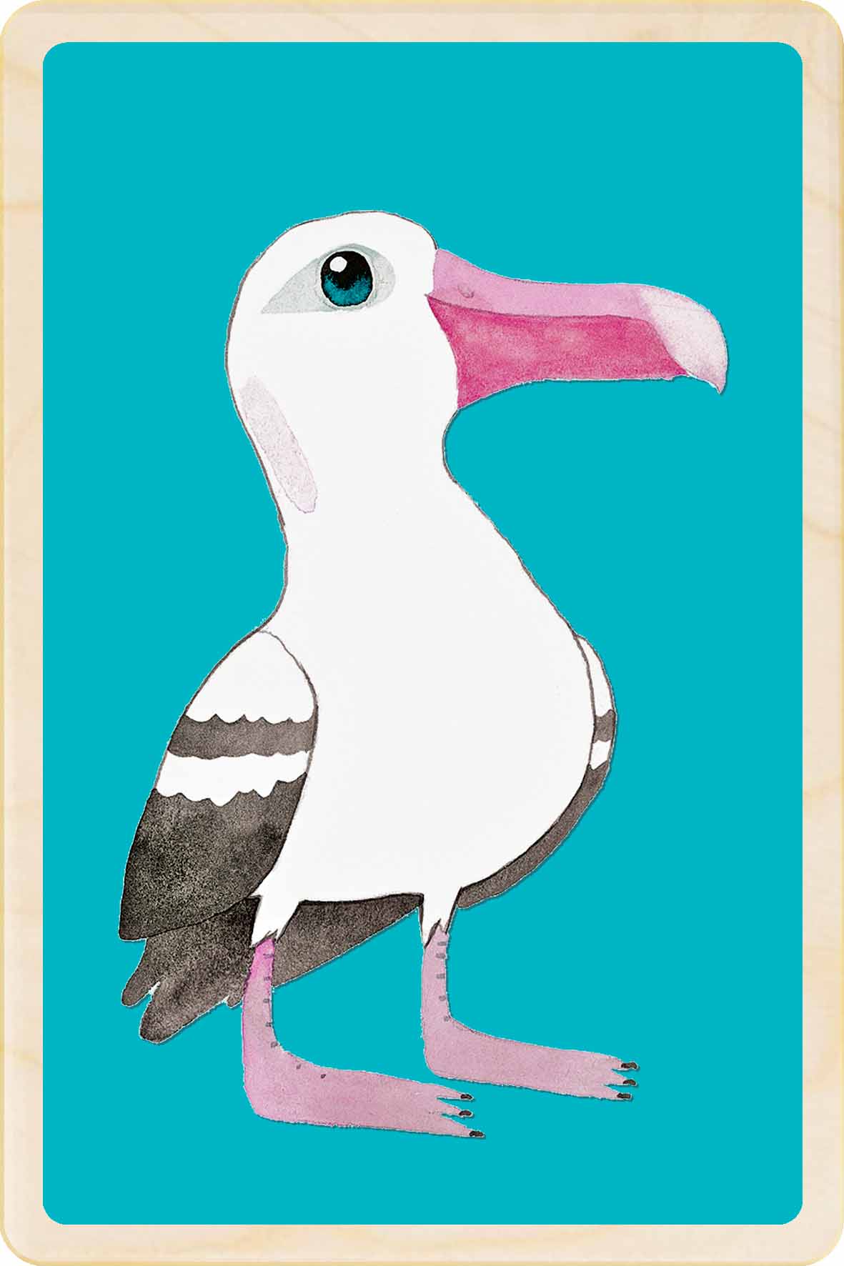 Albatross - bird Illustration wooden postcard by Matt Sewell
