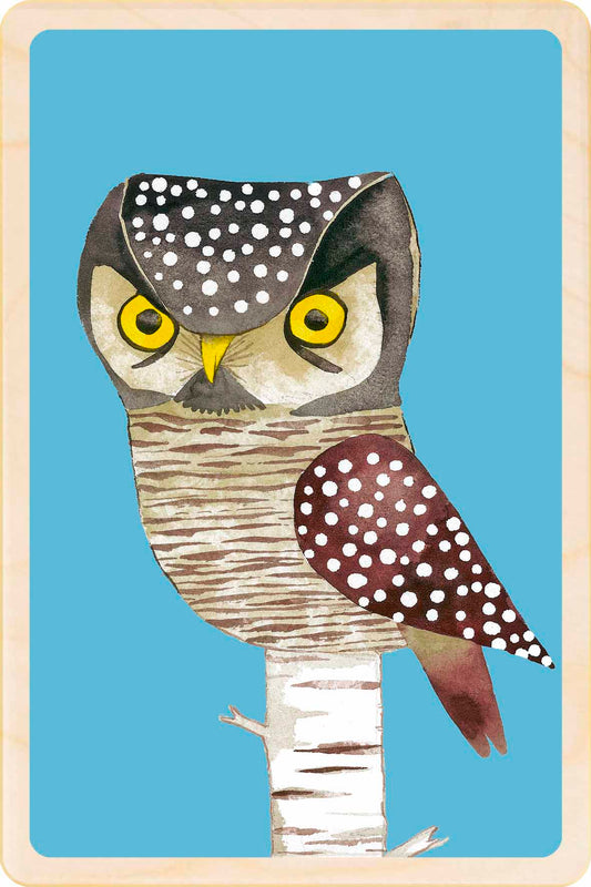 hawk owl - bird Illustration wooden postcard by Matt Sewell
