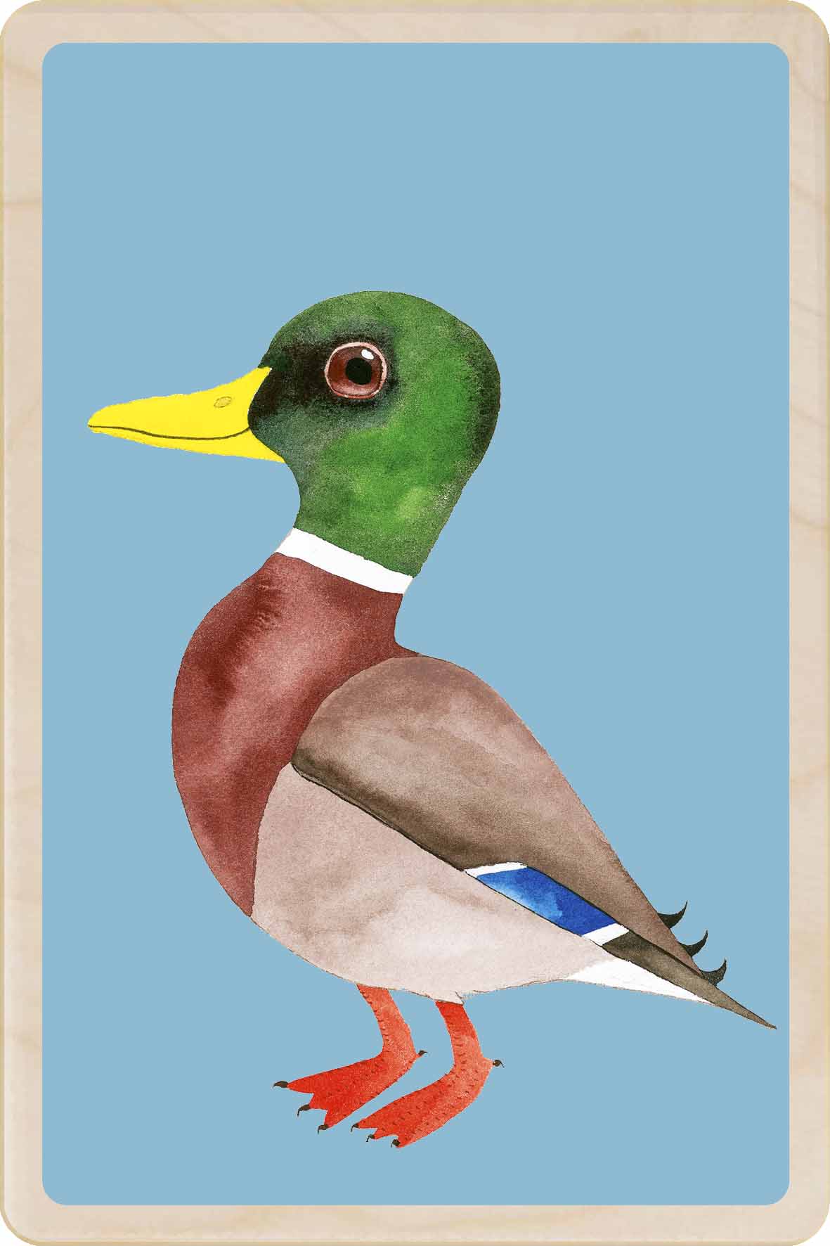 MALLARD