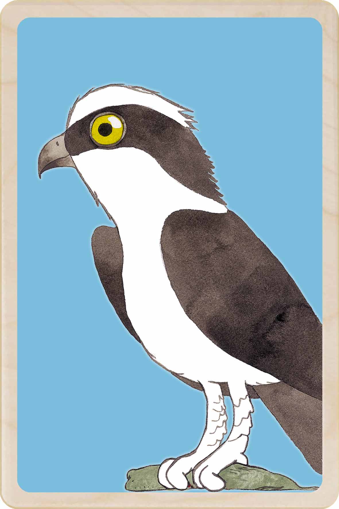 OSPREY