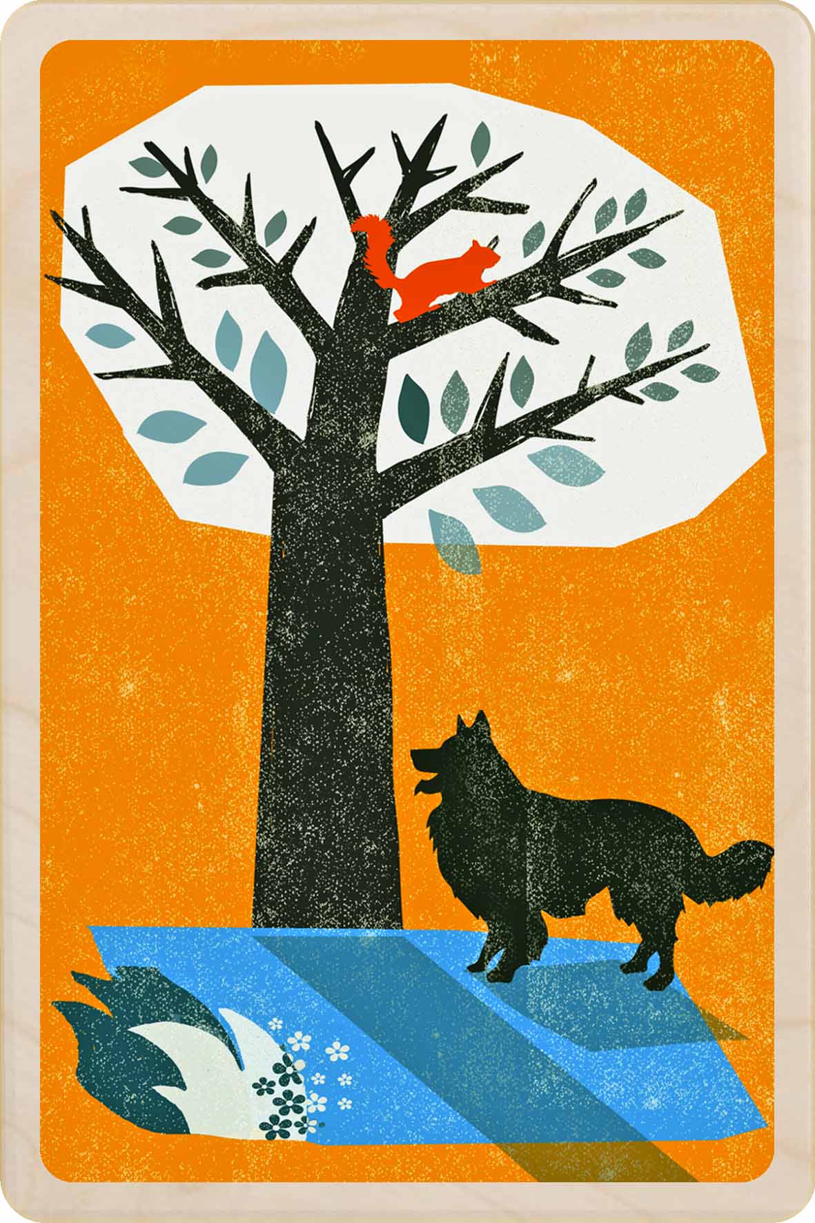 BORDER COLLIE