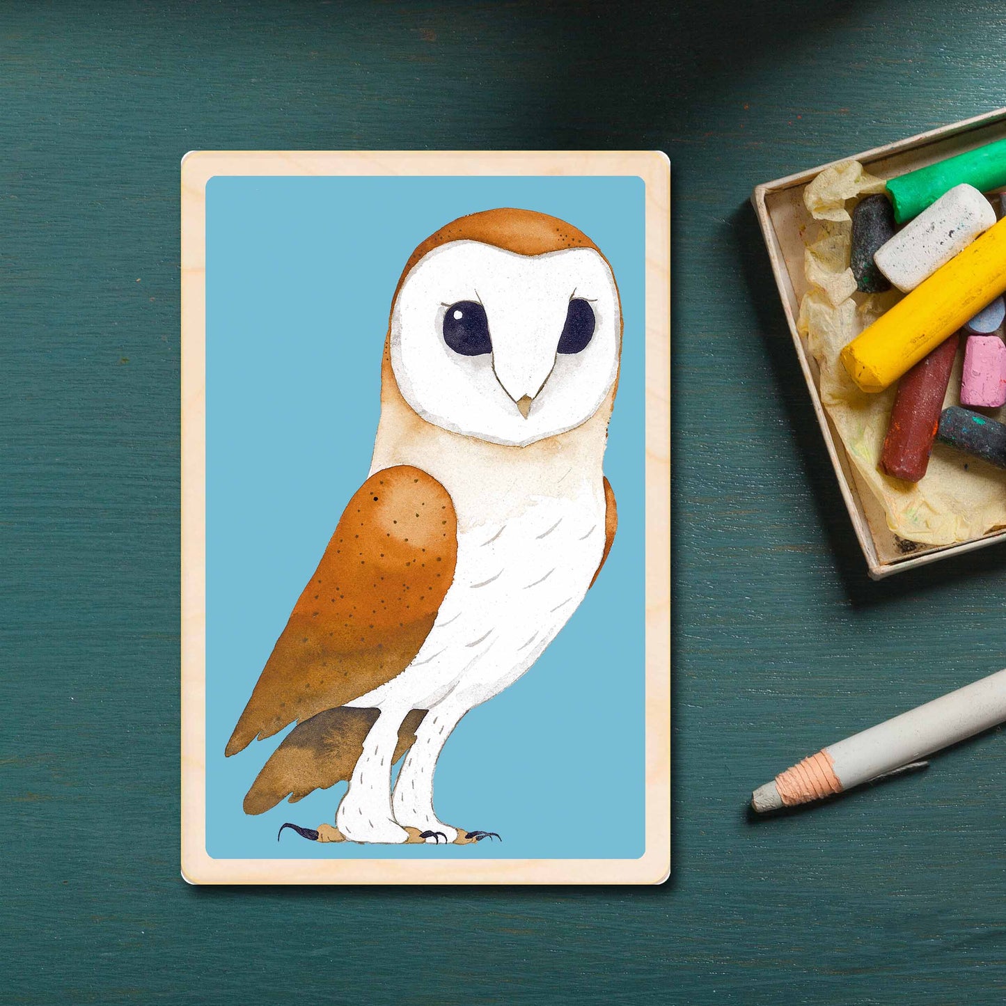 barn owl - bird Illustration wooden postcard by Matt Sewell
