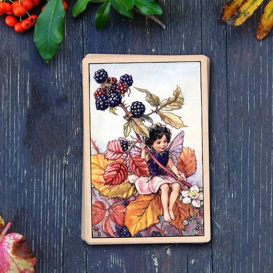 The Blackberry Fairy - Sustainable Card - Wooden Postcard
Original Flower Fairies™ illustration by Cicely Mary Barker, printed in Suffolk on sustainable wood. Made to send, keep, or display—an eco-friendly keepsake for fairy fans, garden lovers, and collectors.