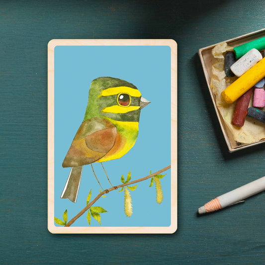 CIRL BUNTING