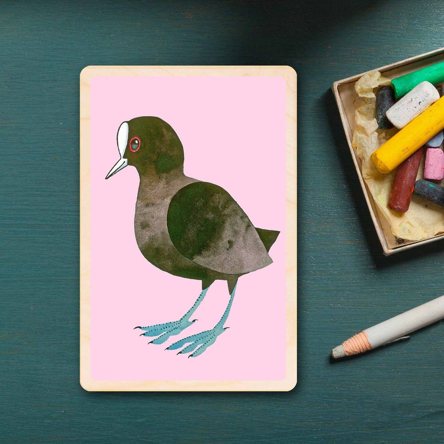 coot - bird Illustration wooden postcard by Matt Sewell