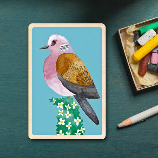 Dove - bird Illustration wooden postcard by Matt Sewell