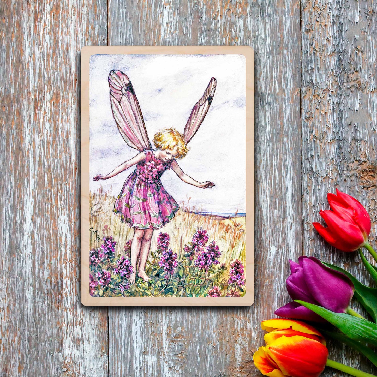 WILD THYME FAIRY