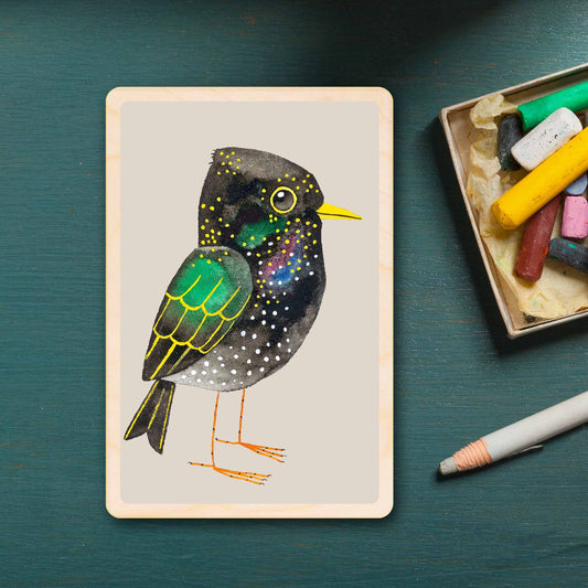 Starling illustration wooden postcard by Matt Sewell