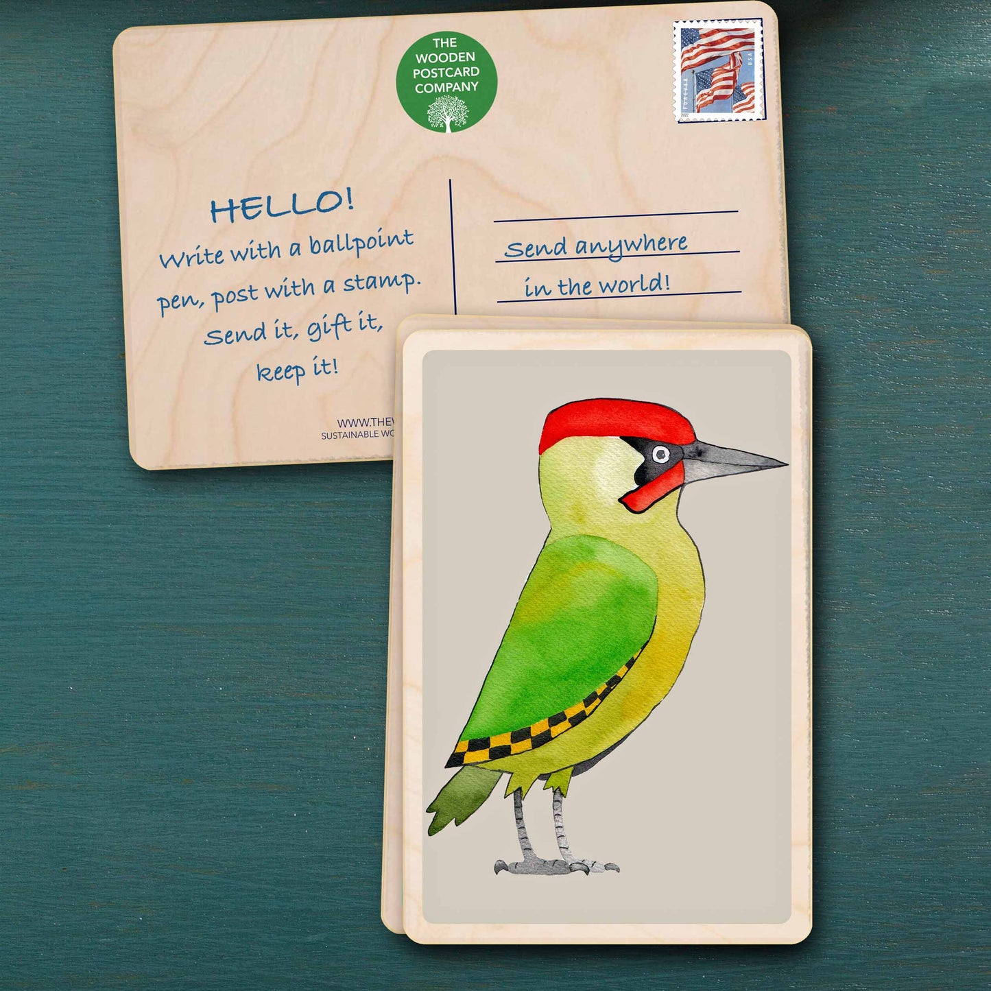 wood pecker - bird Illustration wooden postcard by Matt Sewell