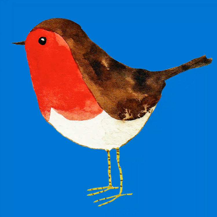 American birds collection, The Wooden Postcard Company