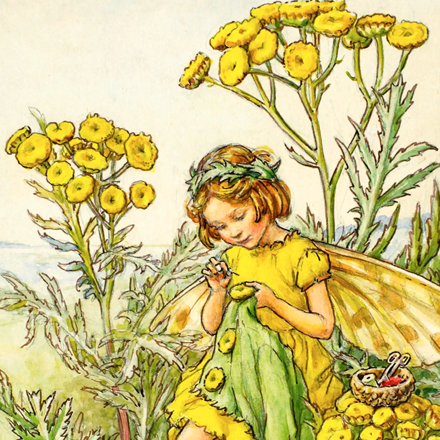 Cicely Mary Barker’s Wayside Flower Fairies™. The Wooden Postcard Company