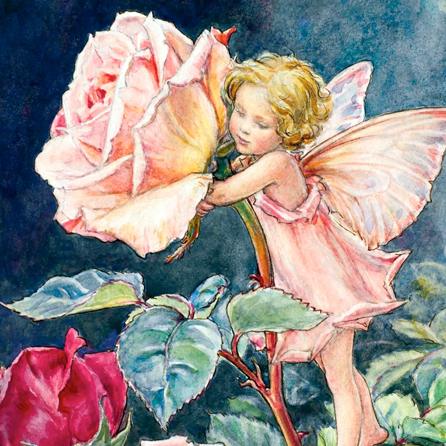 Cicely Mary Barker’s Garden Flower Fairies™. Printed in the UK on sustainably sourced wood, these unique postcards double as mailable greetings and art.