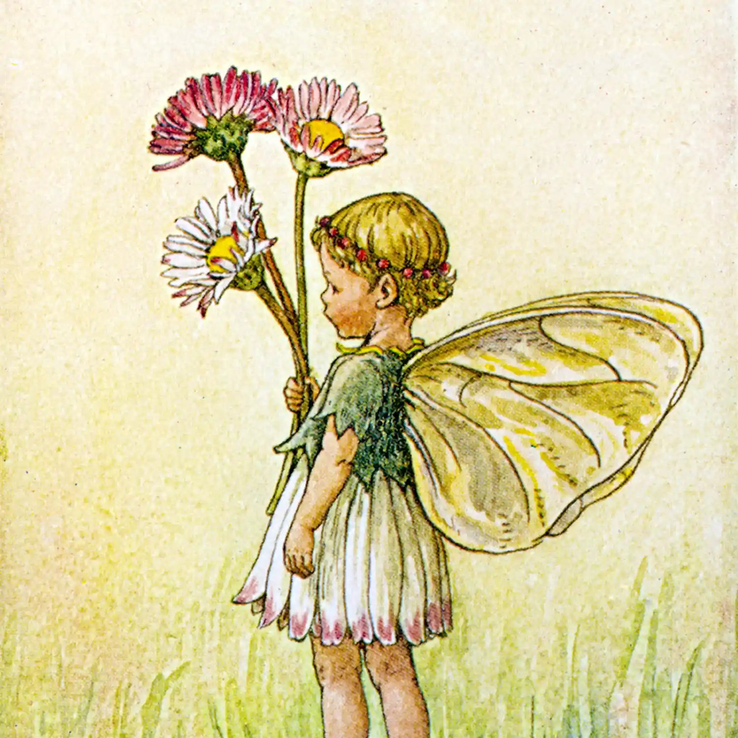 FAIRIES OF THE SPRING
