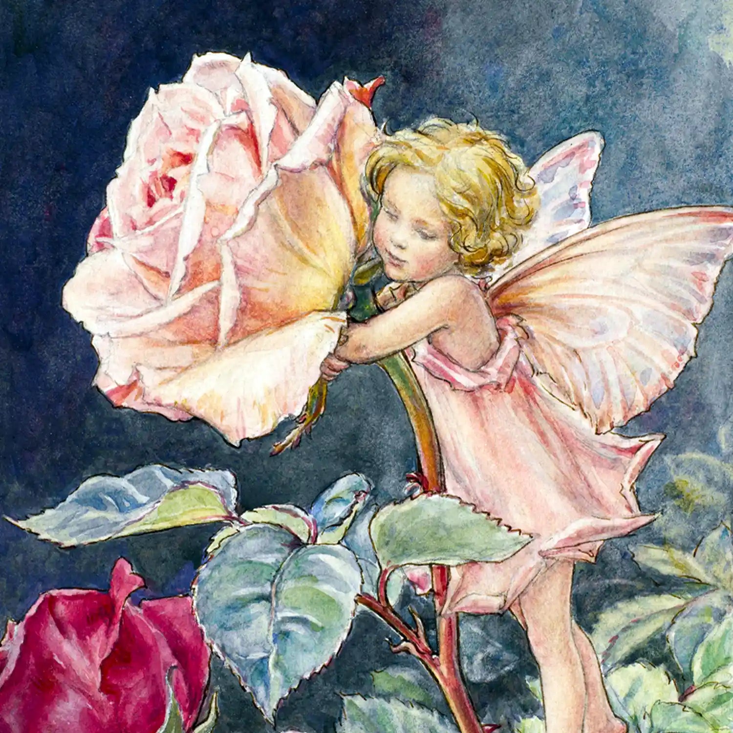 FAIRIES OF THE SUMMER