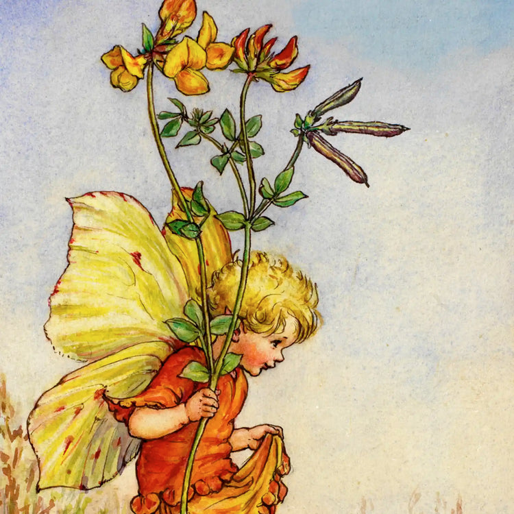 Summer Flower Fairies™