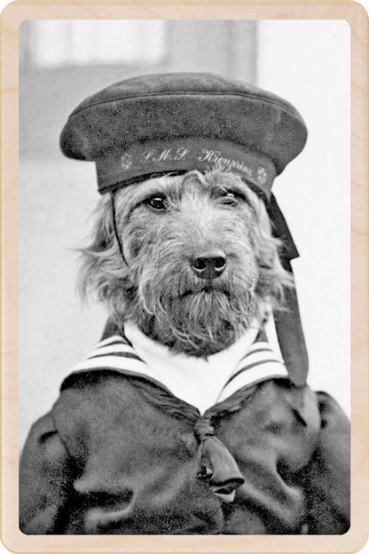 HMS DOG