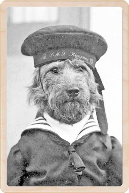 HMS DOG