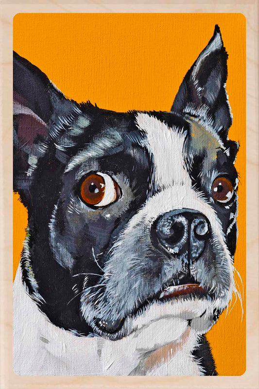 FRENCH BULLDOG