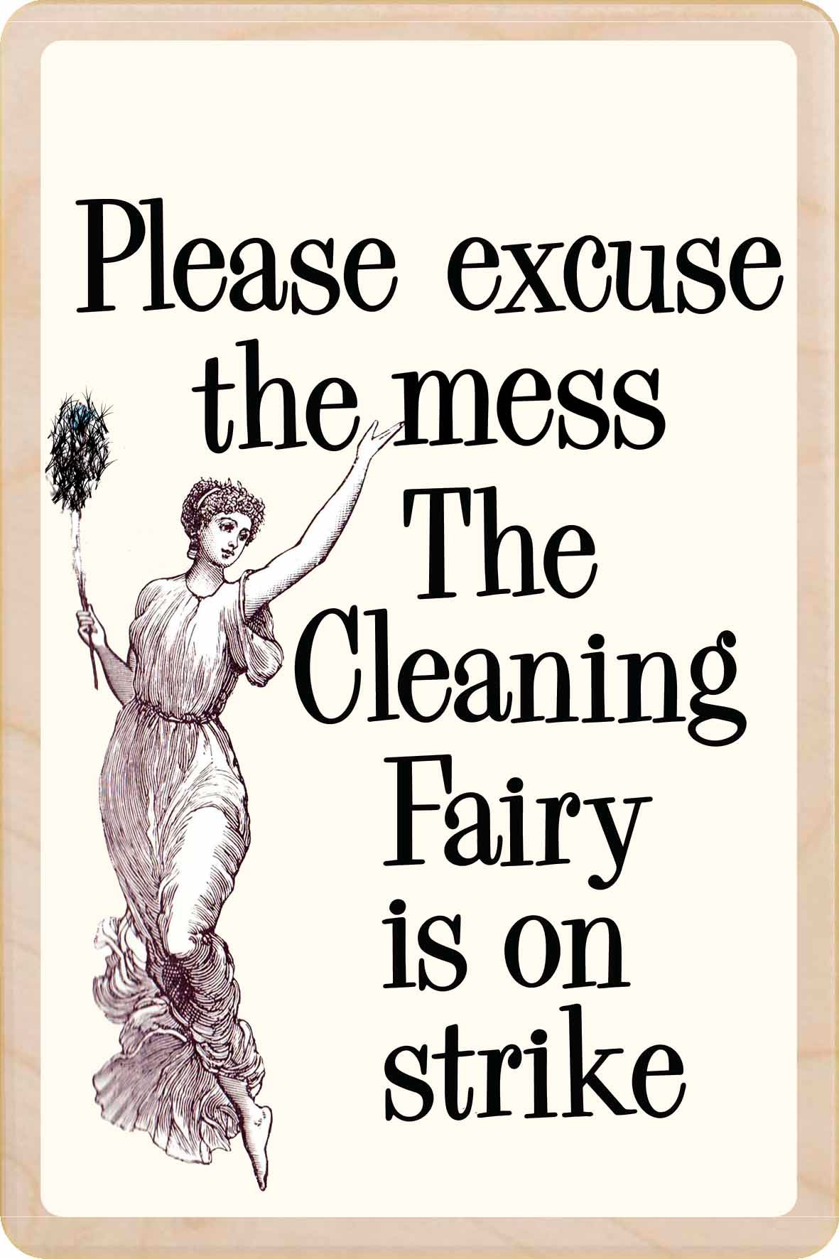 CLEANING FAIRY