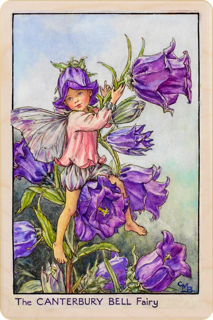 Canterbury Fairy card, featuring Cicely Mary Barker’s classic botanical illustration. The Wooden Postcard Company