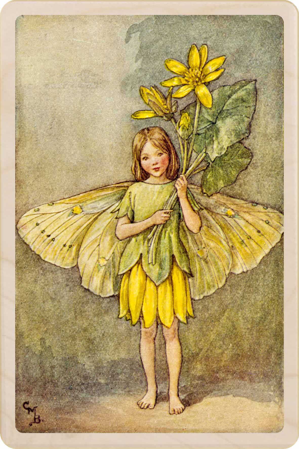 CELANDINE FAIRY