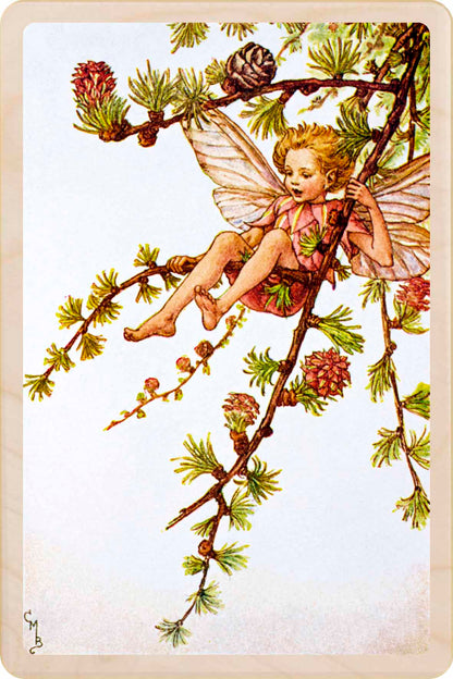 Larch Tree Fairy