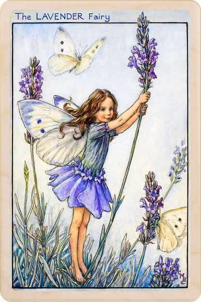 The Lavender Fairy Sustainable Card, Wooden Postcard
Original Flower Fairies™ illustration by Cicely Mary Barker. The Wooden postcard Company
