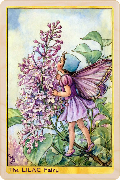 Lilac Tree Fairy, Cicely Mary Barker’s classic botanical illustration. The Wooden Postcard Company