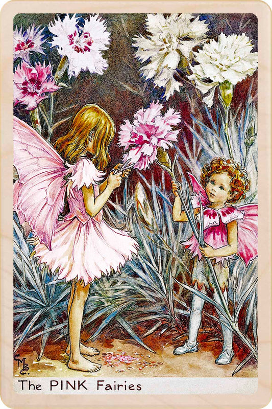 The Pink Fairy - Cicely Mary Barker - Wooden Postcard – Made in the UK
Original Flower Fairies™ illustration by Cicely Mary Barker, printed in Suffolk on sustainable wood. Made to send, keep, or display—an eco-friendly keepsake for fairy fans, garden lovers, and collectors.