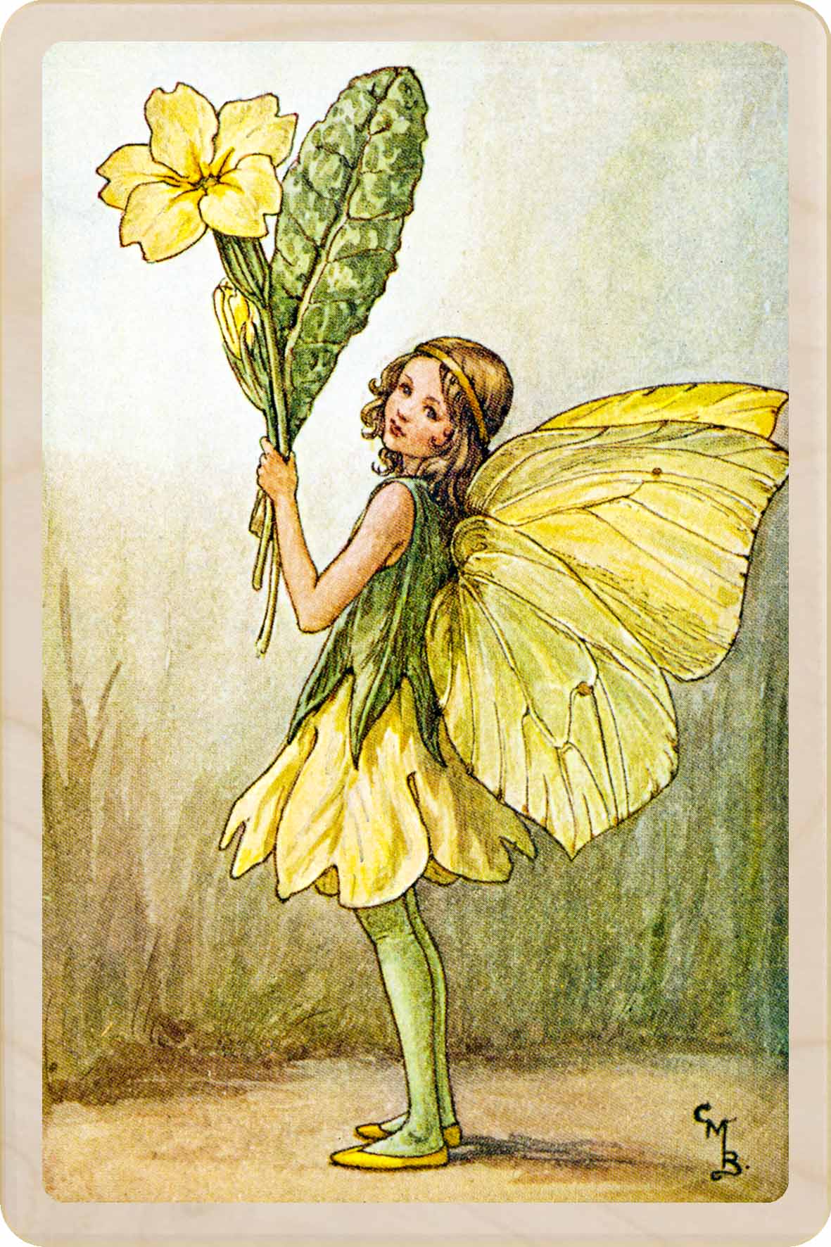 Primrose | Spring Fairies | The Flower Fairies™ | The Wooden Postcard ...